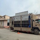 淄博阻性負載柜移動(dòng)負載箱出租勘察現場(chǎng)假負載測試車(chē)