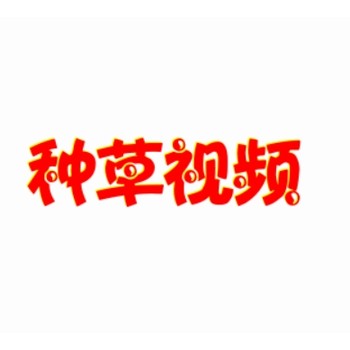 翻包種草合作服務