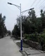 崗巴縣5米LED路燈圖