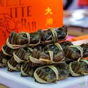 燕窩展上海燕窩展