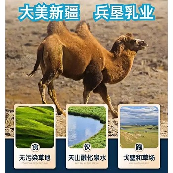 新疆OEM駝奶粉代加工貼牌原料廠家貨源工廠