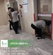 天津公司保潔托管哪家好北辰區公司保潔價格表產品圖