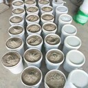 梅州多色可調(diào)滲透結(jié)晶粉末涂料一桶起批