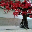 武陟縣水泥仿假樹(shù)精雕細(xì)琢