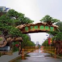 海滄區水泥仿假樹(shù)專(zhuān)業(yè)雕塑公司