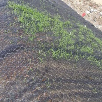張家界加筋麥克墊邊坡綠化作用