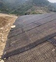 崇左加筋麥克墊礦山綠化治理公司