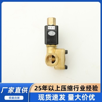 杭州SA復(fù)盛空壓機(jī)泄放電磁閥.21040901720