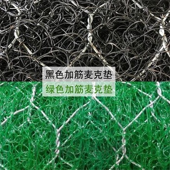 山坡防護三維加筋網(wǎng)墊永州加筋麥克墊