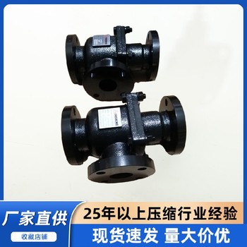內(nèi)蒙SA復(fù)盛空壓機(jī)溫?zé)峥亻y.2104080020
