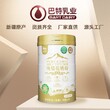 全脂驼乳粉大包粉骆驼奶粉厂家电话巴特乳业驼奶批发代理图片