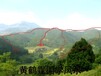 陽春市本地風水大師看墓地風水遷墳選址厲害的大師