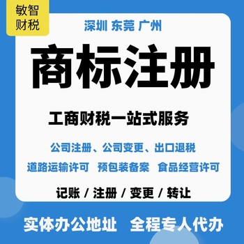 东莞东城区财务会计审计工商财税服务税务代理