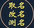 新田县本地风水大师看墓地风水迁坟选址厉害的大师图片