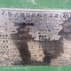 池州臥螺離心機圖