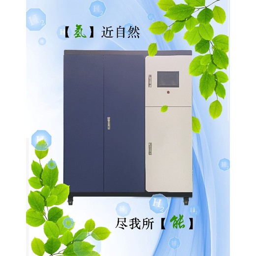 北京宣武不影響終端熱效率天然氣摻氫設(shè)備醇水制氫設(shè)備銷售