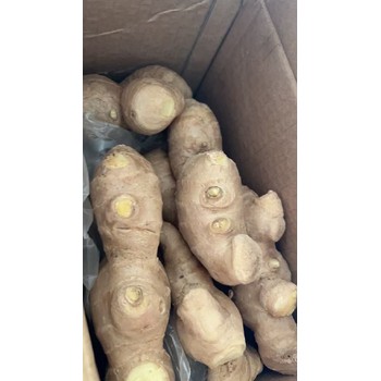 江蘇化工品國際快遞價格,化工品FedEx國際快遞一對一