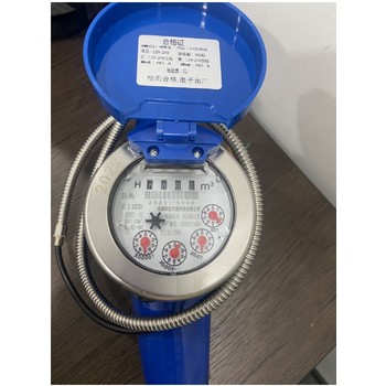 甘孜臥式光電遠(yuǎn)傳水表智能水表