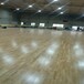 羽毛球館忻碩運動木地板實體廠家