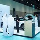 2025國際新能源汽車展圖