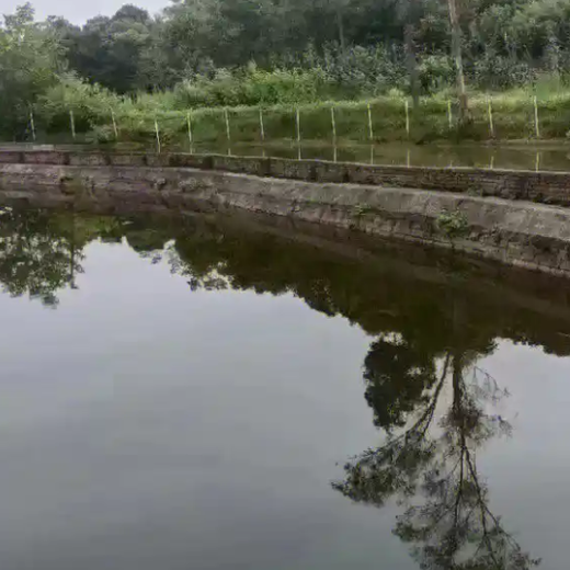 拆遷魚塘價值評估,正規魚塘價值評估收費標準