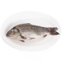 西安學(xué)校食材配送電話