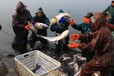魚塘附屬設施評估方式