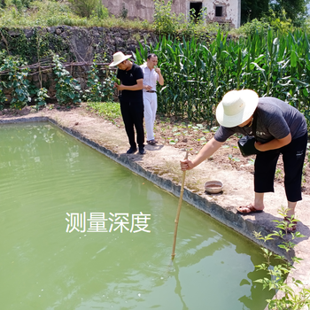 彭水征用魚塘價值評估,魚塘價值評估費用