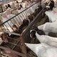 山羊養殖場評估圖