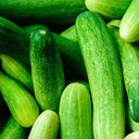 西安雁塔區(qū)學(xué)校蔬菜配送平臺有哪些