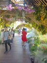 南京波光噴泉設(shè)計(jì)施工，玻光跳泉水泵安裝方案