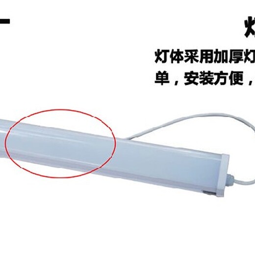 新疆家明節(jié)能廠家,冷庫燈電話,防爆冷庫燈