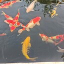 常州工廠噴泉安裝