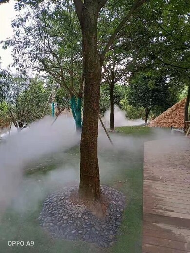 溫州庭院魚池凈化工程，魚池凈化系統(tǒng)