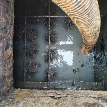 上海普陀管道影像檢測(cè)-上海隔油池清理