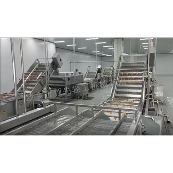 芒果去核打漿生產(chǎn)線芒果汁設(shè)備生產(chǎn)線NFC果汁加工設(shè)備生產(chǎn)線