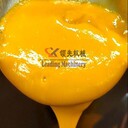 雙道打漿機(jī)芒果漿成套設(shè)備生產(chǎn)線NFC果汁加工設(shè)備生產(chǎn)線