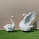 裝飾擺件圖