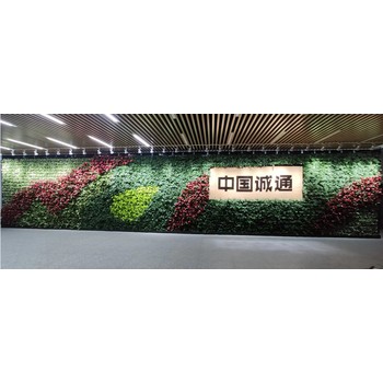拉薩前臺綠植墻花盆