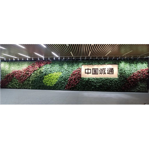 銀川市生態(tài)屋屋頂花園秋海棠立體綠墻設(shè)計(jì)施工