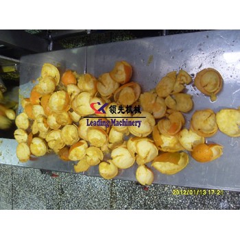 NFC橙汁加工設備臍橙剝皮榨汁機