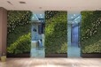 汕頭市立體綠化種植盒生產出售