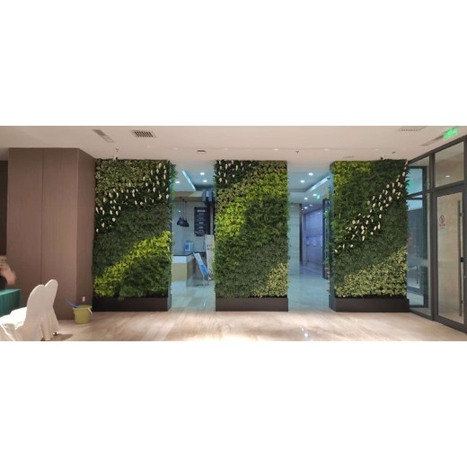 杭州市書(shū)房廚房多肉植物立體綠墻設計施工