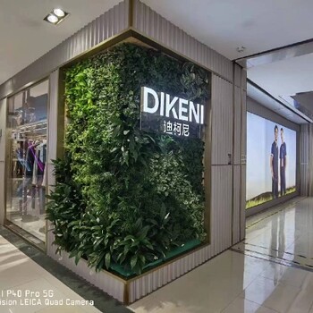 柳州市墻面綠植案例
