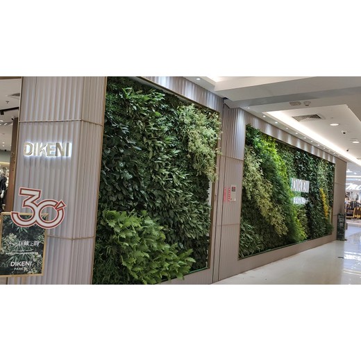 揚(yáng)州市屏風(fēng)隔斷玫瑰花立體綠墻案例