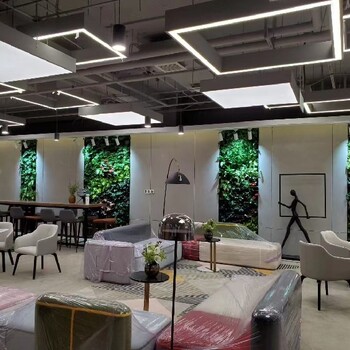 洗浴、會(huì )所特色裝飾裝修特色屏風(fēng)隔斷植物綠植墻面種植盒批發(fā)