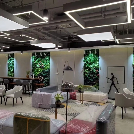 西寧市高檔洗浴會(huì)所秋海棠垂直綠化案例