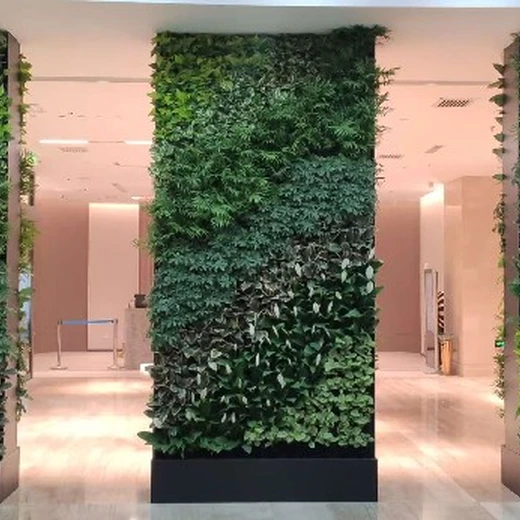 西安市醫(yī)院學校秋海棠立體綠墻設(shè)計案例