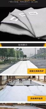 寶山阻燃無紡?fù)凉げ紶I養(yǎng)植草養(yǎng)生土工布