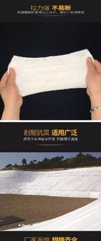 平谷阻燃無紡土工布營養(yǎng)植草養(yǎng)生土工布